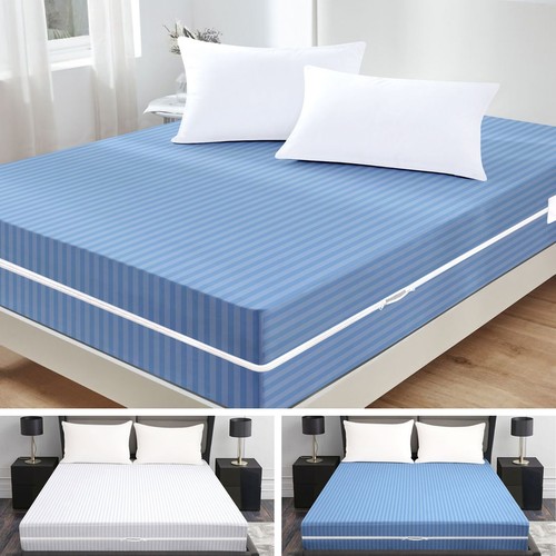 Anti bed bug - anti, mattress